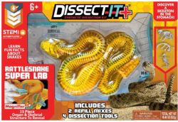 DISSECT IT - SERPENT AU LABO